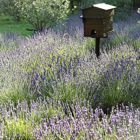La Bastide De - Et Restaurant - Teritoria 4*
