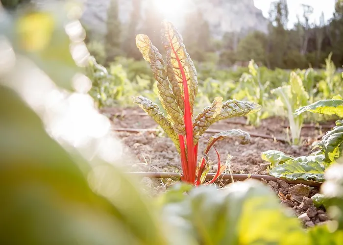 La Bastide De - Et Restaurant - Teritoria 酒店 穆斯捷-圣玛丽
