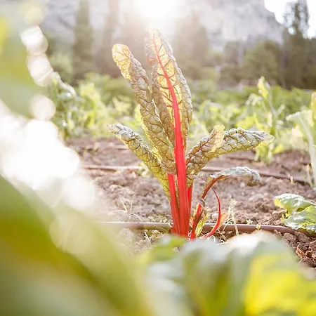 La Bastide De - Et Restaurant - Teritoria Hotel Moustiers-Sainte-Marie