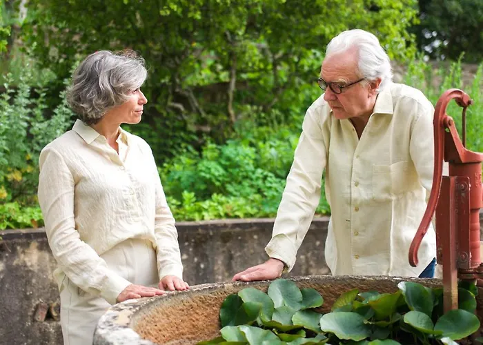 Hotel La Bastide De - Les Collectionneurs 4*